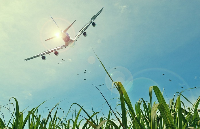 Biyoyakıtlar Havacılık Endüstrisinde Devrim Yaratarak Karbondioksit Emisyonlarını Azaltıyor